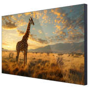 65" Videowall Display