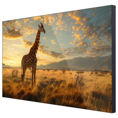 Pantalla Videowall 65"