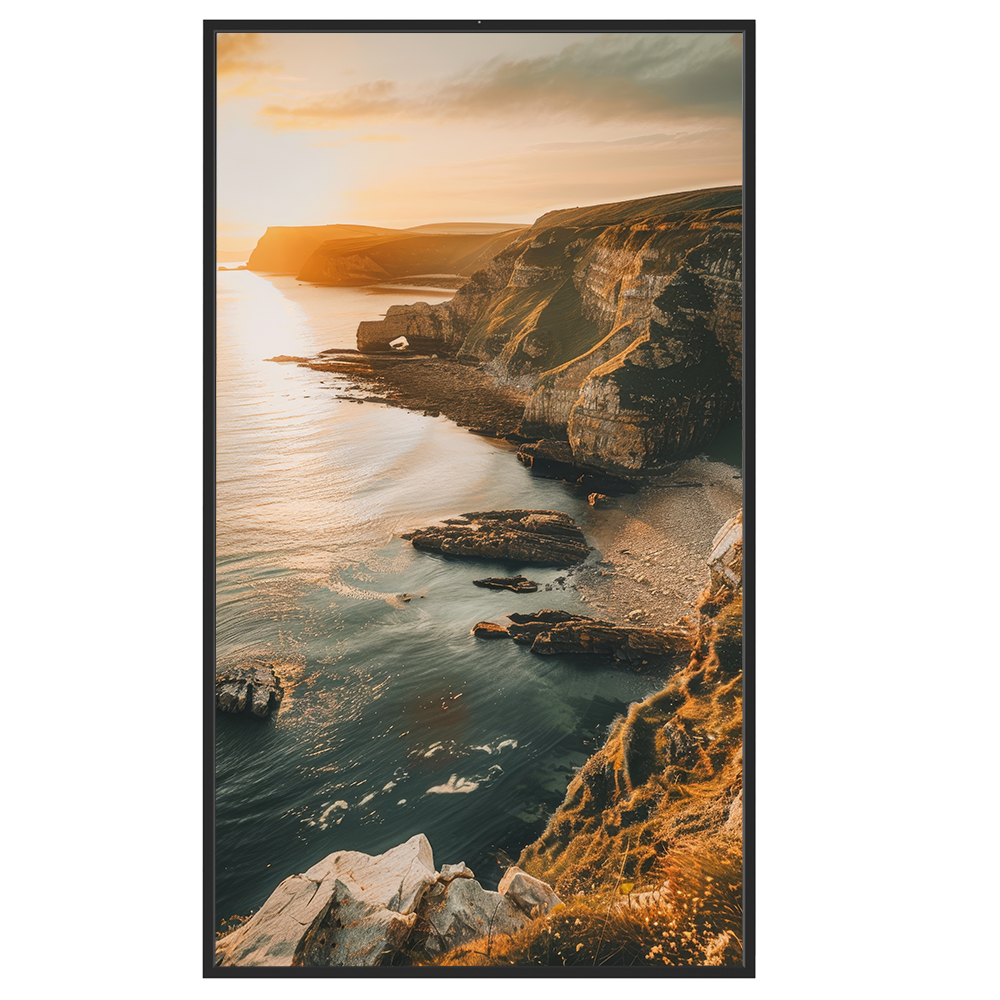Pantalla Alto Brillo 49" 4K