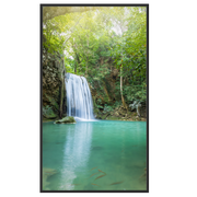 65" 4K High Brightness Display
